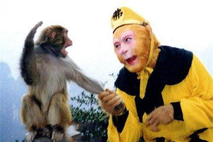 多樣品組織研磨機(jī)/冷凍研磨機(jī)/高通量組織研磨儀